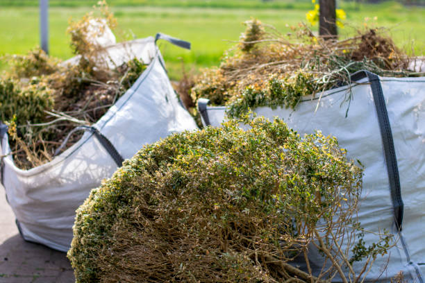 Best Moving and Downsizing Cleanouts  in Ship Bottom, NJ